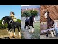 Big Horses Compilation pt.1