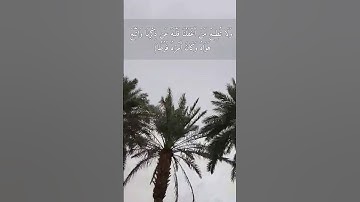 {وَاصْبِرْ نَفْسَكَ مَعَ الَّذِينَ يَدْعُونَ رَبَّهُم..} ماهر المعيقلي سورة الكهف