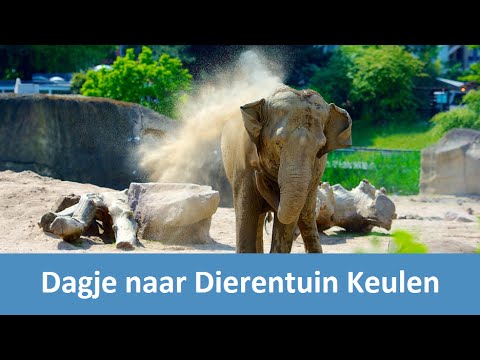 Video: Dierentuin in Keulen