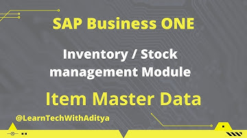 Item Master Data | Inventory management | Stock management | Sap business one modules