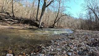 Crystal clear Ozarks Mountain creek by Kapper Outdoors Modern homestead 395 views 1 month ago 1 minute, 57 seconds