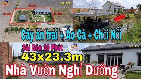 Nhà vườn Long An | Nhà vườn Nghỉ Dưỡng đẹp | Nhà vườn cây ăn trái ao cá + Chồi nổi, giáp bình chánh