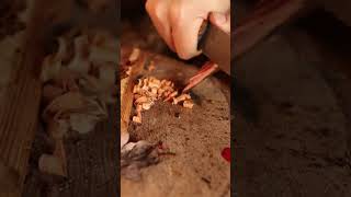 How to make fire with FAT wood  #bushcraft #survival #alone