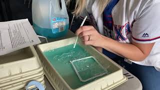Cell Membrane Bubble Lab Demo 2