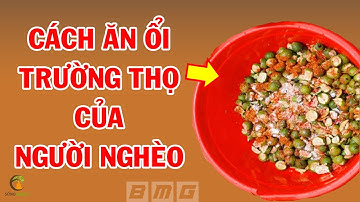 Ăn 1 Quả Ổi Chữa 10 Loại Bệnh, Thần Dược Trường Thọ Của Người Nghèo Bổ Hơn Sâm