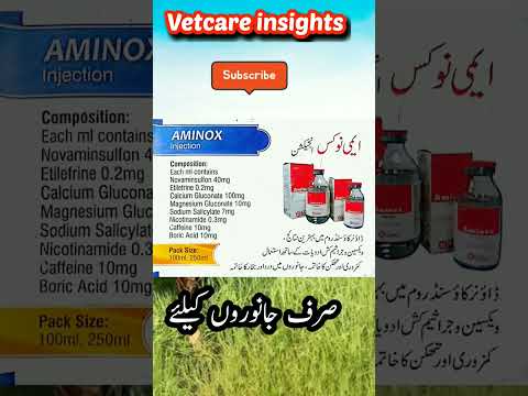 Aminox Inj Veternary Animalfarming Vetsurgry Cattlefarming Vetcare