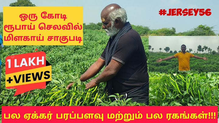 20 ஏக்கர் பரப்பளவில் மிளகாய் சாகுபடி செய்து அசத்தும் விவசாயி | பல புதிய ரகங்கள் #RHS #JERSEY56