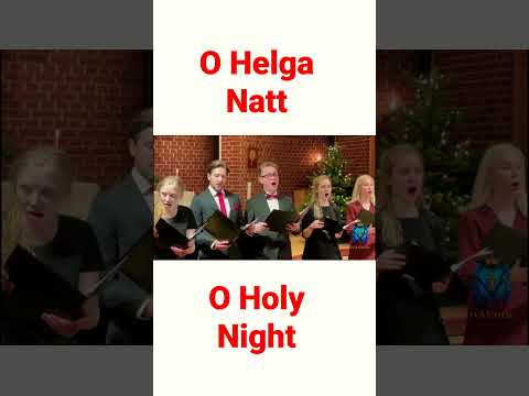 tenor Ivanhoe -