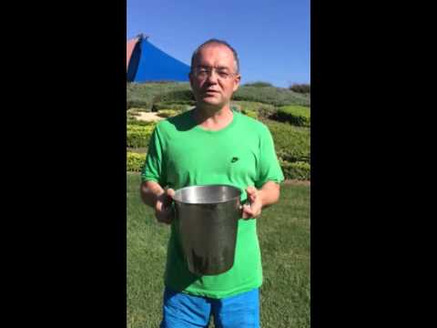 Ice Bucket Challenge Emil Boc