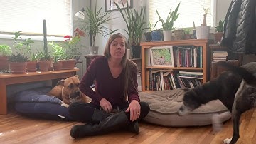 Teaching your dog a sustained nose target.