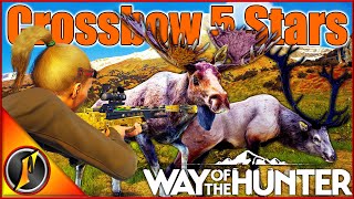 Taking Our 1st 5 Star Bulls with the Crossbow on Aurora Shores!