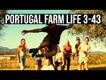Couple living dream life in Central Portugal ❤ | PORTUGAL FARM LIFE S3-E43