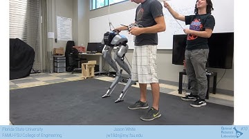 Bipedal Balancing on Dynamic Terrain - ICRA 2020 Presentation