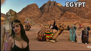 Exploring Egypts Nomadic Lifestyle Culture, Traditions Rural Farming Documentary Video