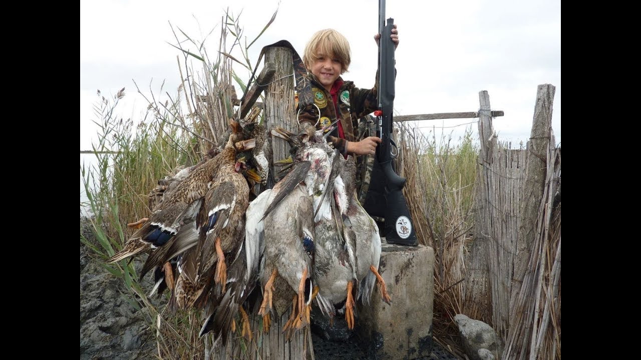 Duck hunting season _ la chasse du canard _موسم صيد البط YouTube