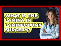 What Is The Lamina In Laminectomy Surgery? - Orthopedic Support Network