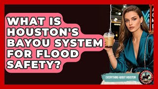 What Is Houston's Bayou System For Flood Safety? - Everything About Houston