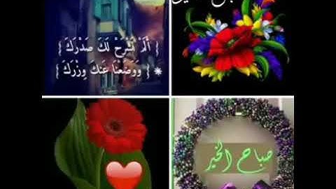 حالات واتس اب قرآن ||سورة الشرح//تلاوة رائعه//ماشاء الله 🌷