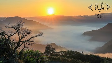 سورة الفلق " محمد أيوب "