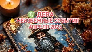 :           2025