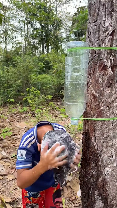 Wow! SMART idea and USEFUL with saving water #bushcraft #camping #outdoors