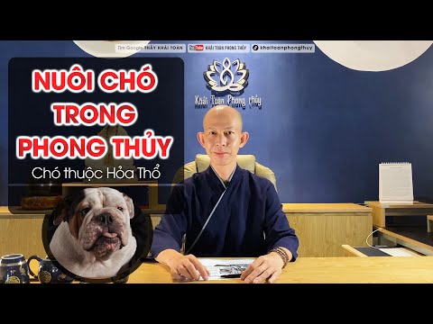 Video: 80 tên cho chó đen và chó con