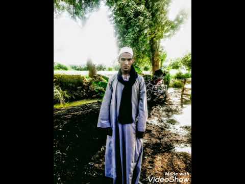 شارع زمان احمد لطفي