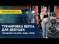 Тренировка верха для девушек: тренировка на руки, грудь, спину