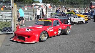 CSCC Special Saloons + Modsports - Brands 2019 - cars go out for race 1