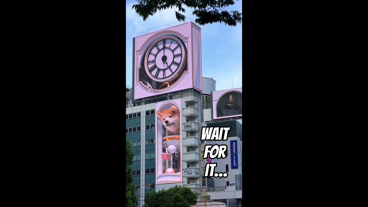 The BEST 3D Billboard In Japan Shorts