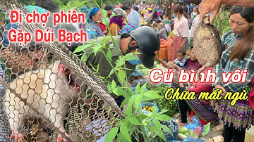Mộc mạc chợ phiên Tây Bắc bán nhiều Đặc Sản và Thảo Dược mới lạ | Tôi Người Vùng Cao