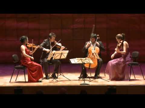 Schubert - Death and the Maiden - Hamer Quartet - ...