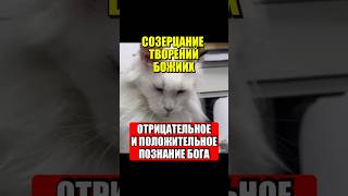 Созерцание творений Божиих. Отрицательное и положительное познание Бога.