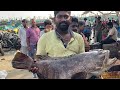 Big Grouper/Kalava Fish Cutting Skills in Indian Fish Market