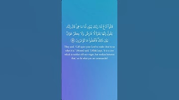 سورة البقرة من الآيه 67 الى الآيه 68 بصوت الشيخ مشاري العفاسي