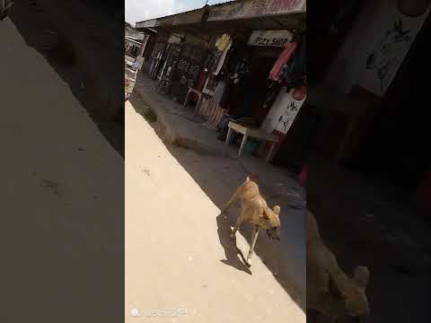 A Walk Around Machakos Academy Road MercyNguku The World Traveller Worshipsongrewritten