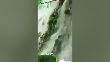 #بلغوا_عني_ولو_آية #اسلامية #آيات #قران_كريم #تيك_توك #tiktok #explore #quran