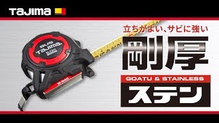 タジマ スケール 剛厚セフGステンロック GASFGSLWM25-50×2個 imgrc0079333983.jpg
