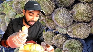 Indian Eating DURIAN | World's Smelliest Fruit | Will You Try? | Vlog In Hindi