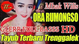 Tayub terbaru 2021 versi koplo