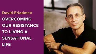David Friedman Interview - Overcoming Our Resistance to Living a Sensational Life