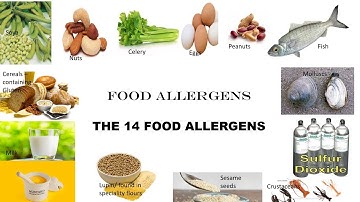 Food Allergens  [4K]