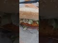 Sandwich Burger Shortsviral Vacation Ytshorts Sandwich Burger Shortsviral Vacation Ytshorts