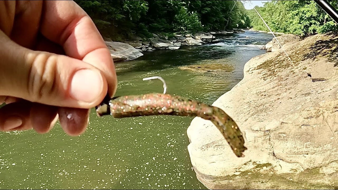 I Caught Dinner!? (Catch Clean Cook) Amazing New Water