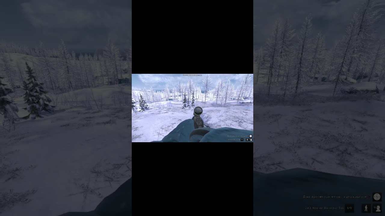 The hunter classic самец песца 