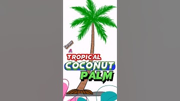 Draw A Tropical Coconut Palm | How to draw a coconun tree in MS Paint | MS paint turorial #shorts
