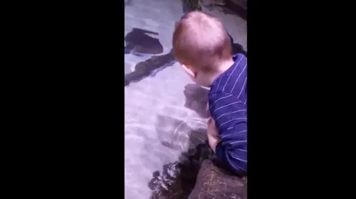Aquarium Day