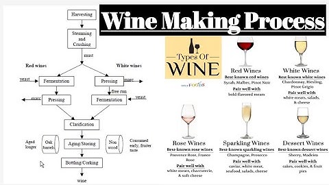 Wine. detailed making process. preparation of Food science and technology