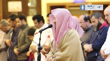 تلاوة ندية رائعة من روائع الشيخ محمد الحافي لسورة العنكبوت