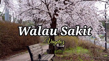 Walau Sakit ☆ Vagetoz ☆ lirik